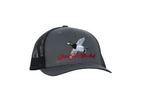 Blue Bill Snap Back